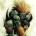 O famoso personagem brasileiro e verde da série de video games Street Fighter pode nos ajudar a refletir sobre o caráter do brasileiro e da cultura do Brasil perante si mesmo e o mundo, suas contradições sociais, os fantasmas de seus conflitos históricos e seus anseios frente aos outros povos do mundo