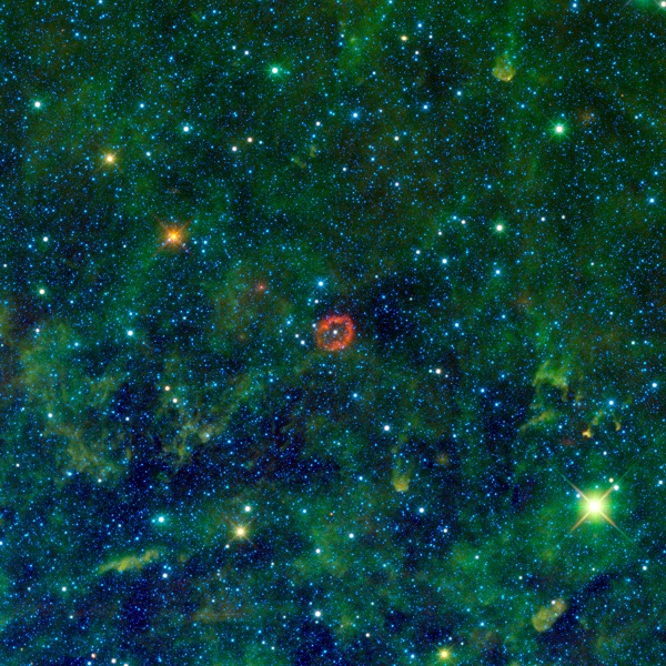 V385 Carinae