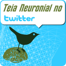 Siga a Teia no Twitter