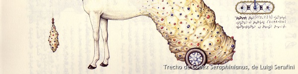 Trecho de Codex Seraphinianus, de Luigi Serafini