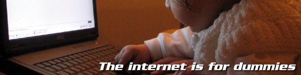 The internet is for dummies