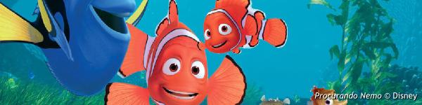 Marlin e Nemo