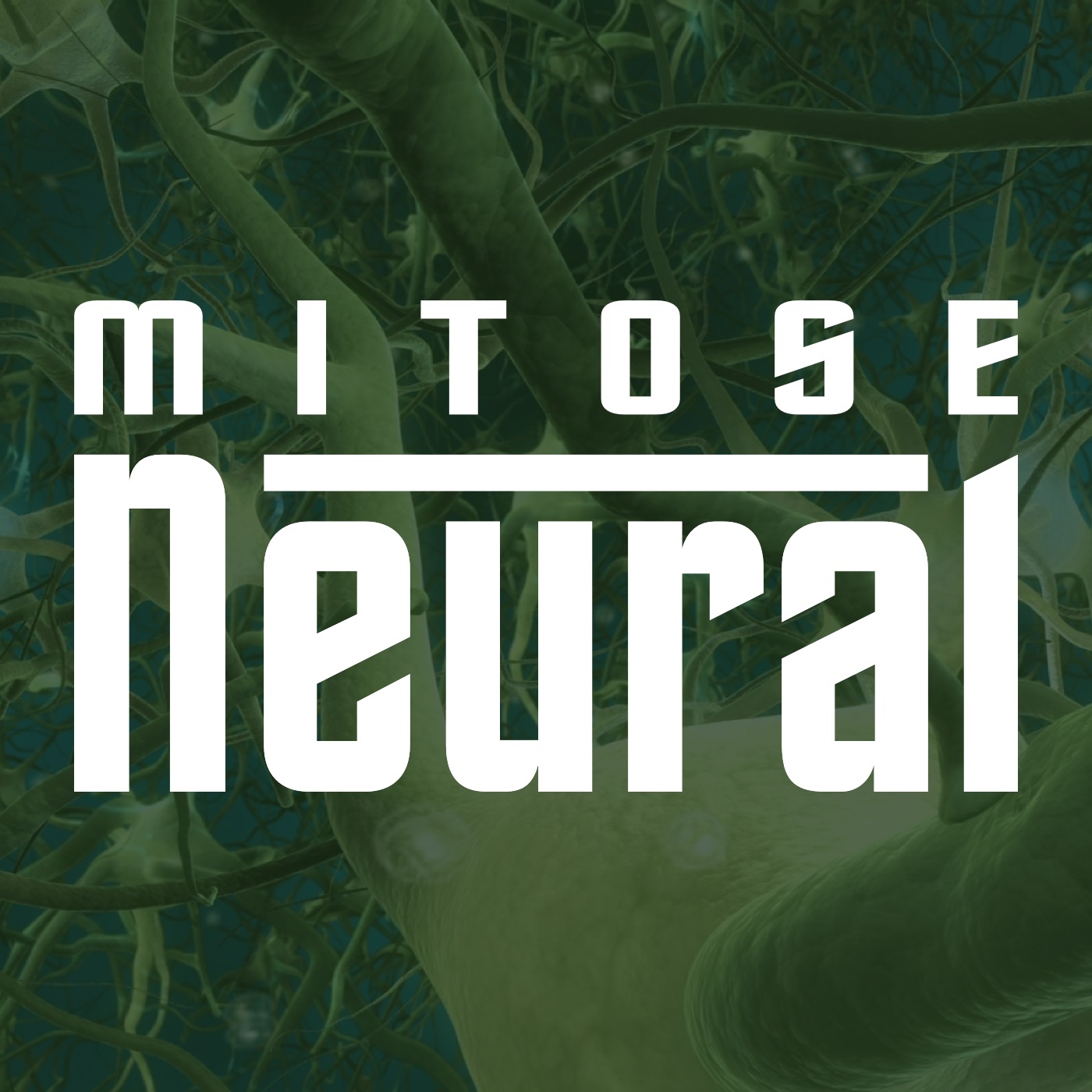 Mitose Neural – Teia Neuronial