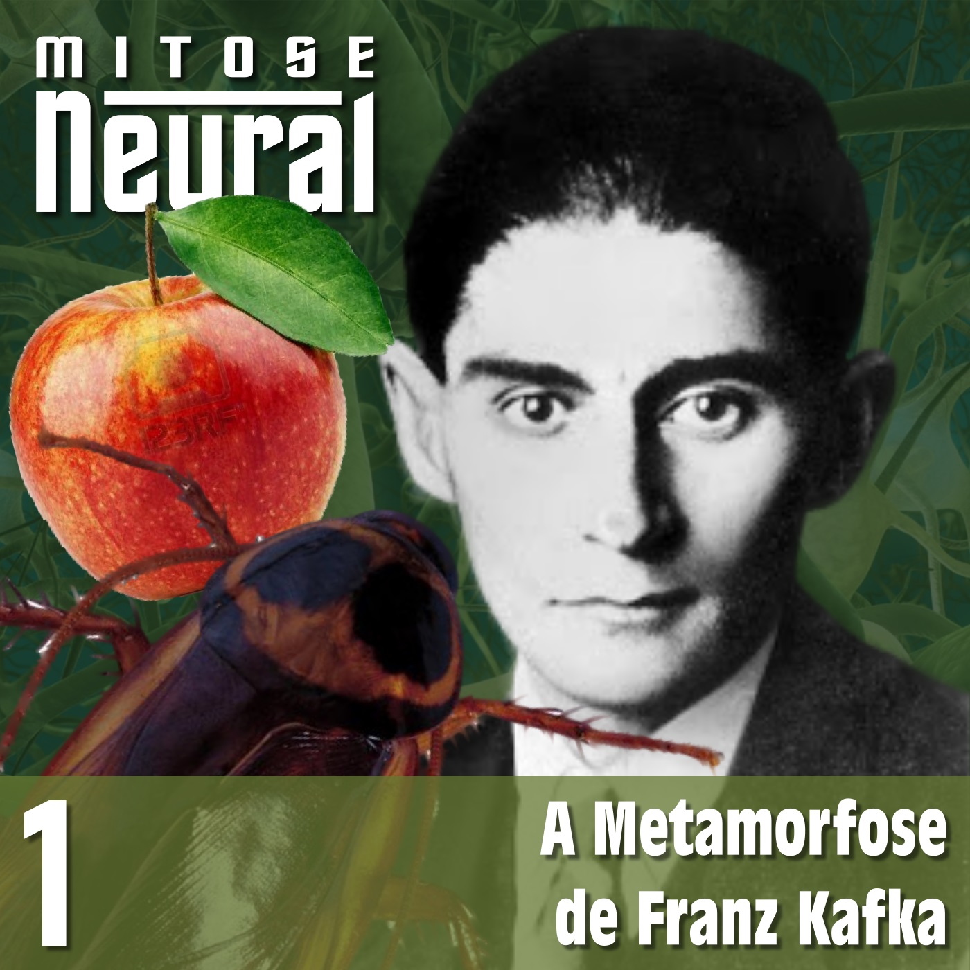 Mitose Neural – Teia Neuronial