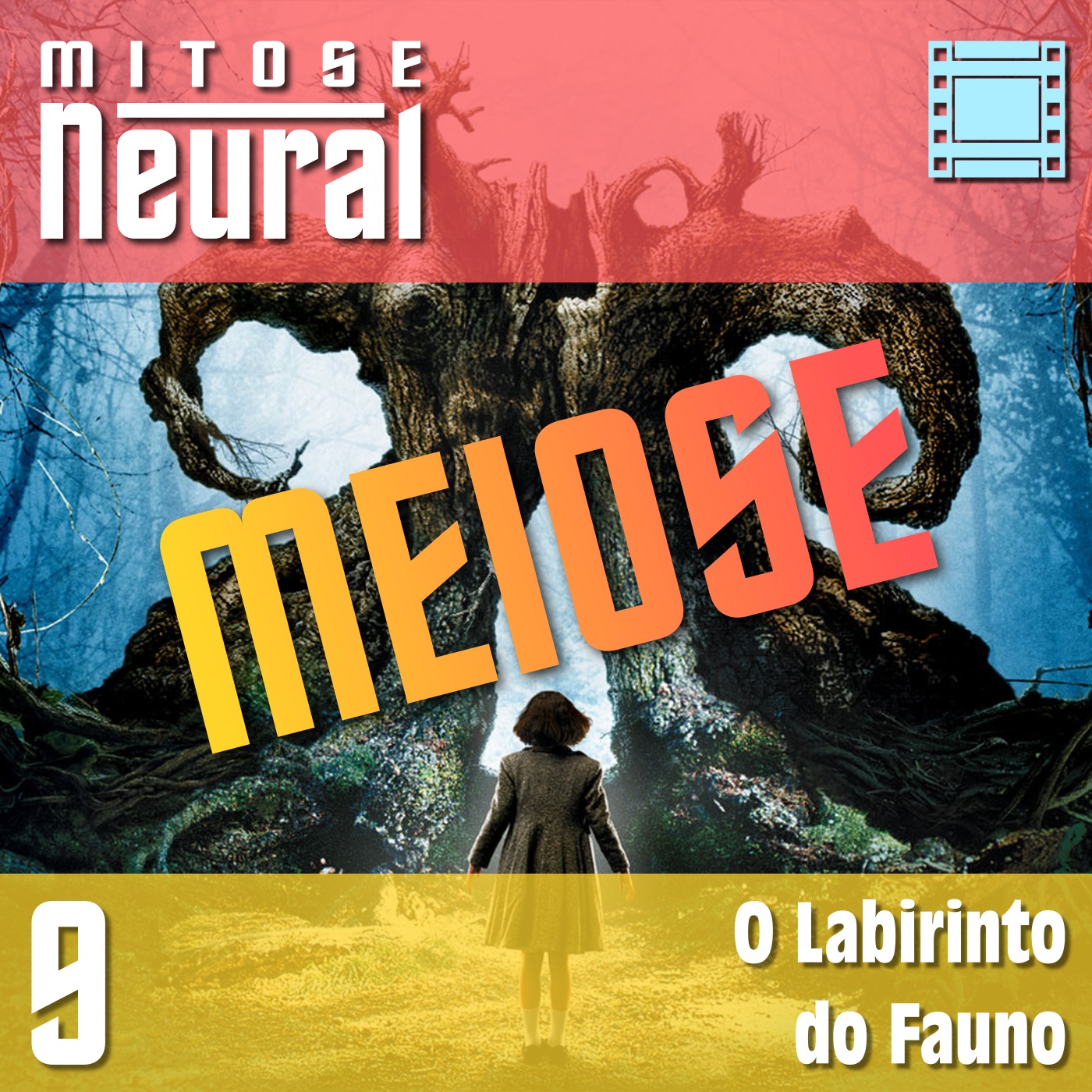 Mitose Neural – Teia Neuronial