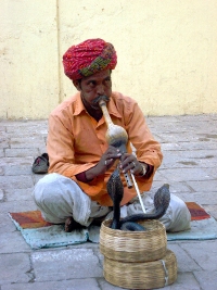 Encantador de serptentes de Jaipur
